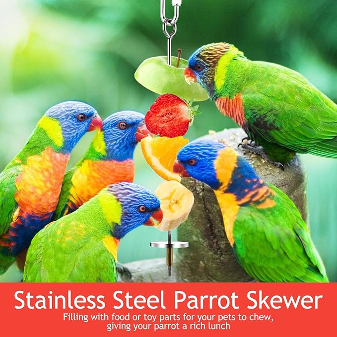 Weewooday 3 Pcs Bird Cage Food Holder Parrot Fruit Vegetable Skewer Stainless Steel Stick Feeder Bird Treats Skewer Parakeet Cockatoo Cockatiel Cage Treating Tool Small Animal Hanging Foraging Toys
