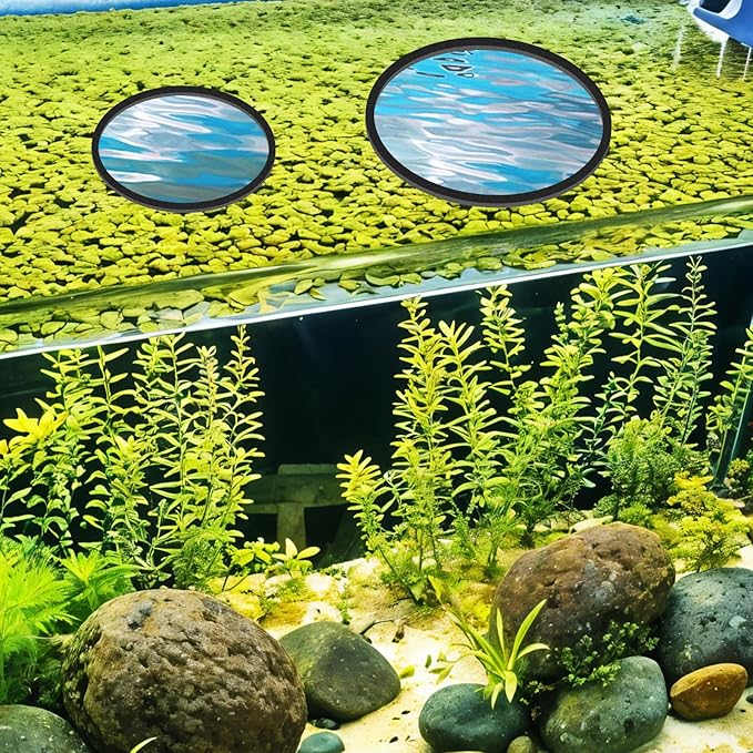 10 Pcs Fish Feeding Rings Set 5 Sizes Aquarium Round Feeder Ring for Fish Tank Aquarium Floating Plant Corral for Intercepts Floating Plants Black