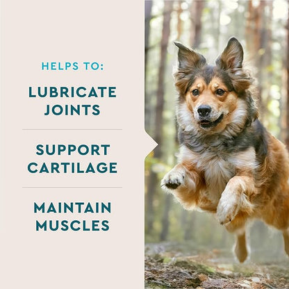 VetIQ Hip & Joint Supplement for Dogs, Anti Inflammatory Joint Support, Glucosamine, MSM, and Krill, Chicken Flavored Soft Chews, 60 Count