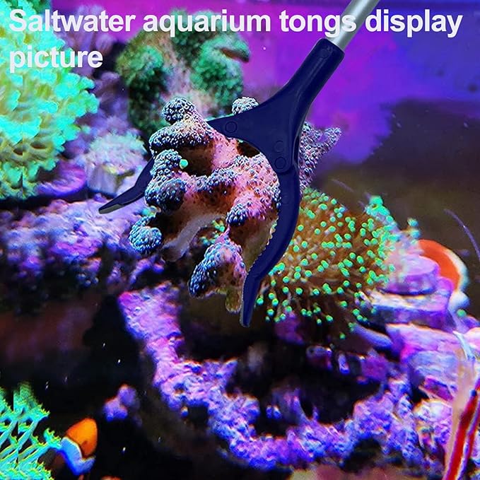 31.5Inch Long Coral Reef Grabber,Coral Feeder,Aquarium Veggie Feeder,Aquarium Food Clip Feeding(Long Reef Grabber and Coral Feeder Kits Never Rust), Blue
