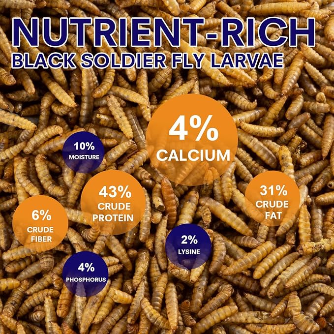 5lbs Dried Black Soldier Fly Larvae for Chickens - 100% Natural BSF Larvae More Calcium Than Dried Mealworms - High Protein BSFL Chicken Treats for Laying Hens Ducks Birds