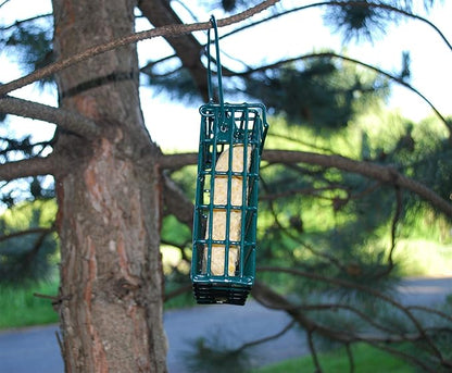 Wildlife Sciences Suet Cake Packs (Cranberry Snap)