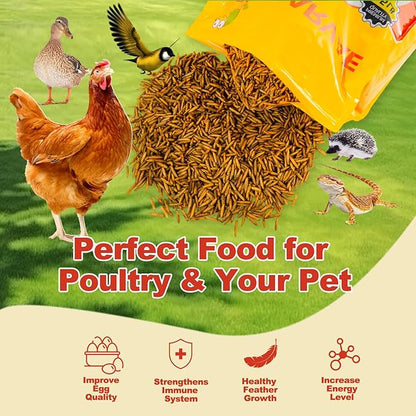 11LB Dried Black Solider Fly Larvae, BSFL is High Protein Chicken Feed with 85x More Calcium Than Dried Mealworms, Poultry Treats, Chickens Love, Birds Love, Hens Love, Ducks Love