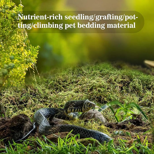 Sukh Sphagnum Moss for Reptiles -Terrarium Moss for Reptiles Peat Moss for Reptiles Habitat Bedding Moss for Snakes Turtle Frog Gecko and Other Reptiles Substrate (6.3, Ounces)