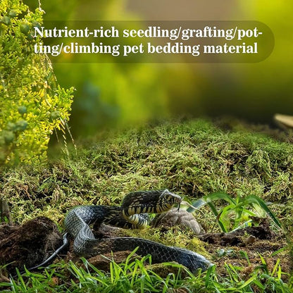 Sukh Sphagnum Moss for Reptiles -Terrarium Moss for Reptiles Peat Moss for Reptiles Habitat Bedding Moss for Snakes Turtle Frog Gecko and Other Reptiles Substrate (15.8, Ounces)