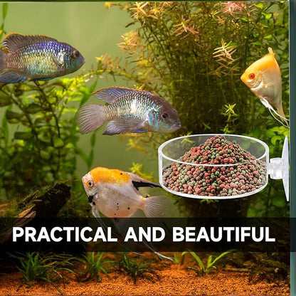 2Pcs Aquarium Shrimp Feeder Dish with Suction 75mm Round Clear Fish Tank Food Tray Container Glass Fish Tank Feeding Bowls for Aquarium Tanks Feeding Tray