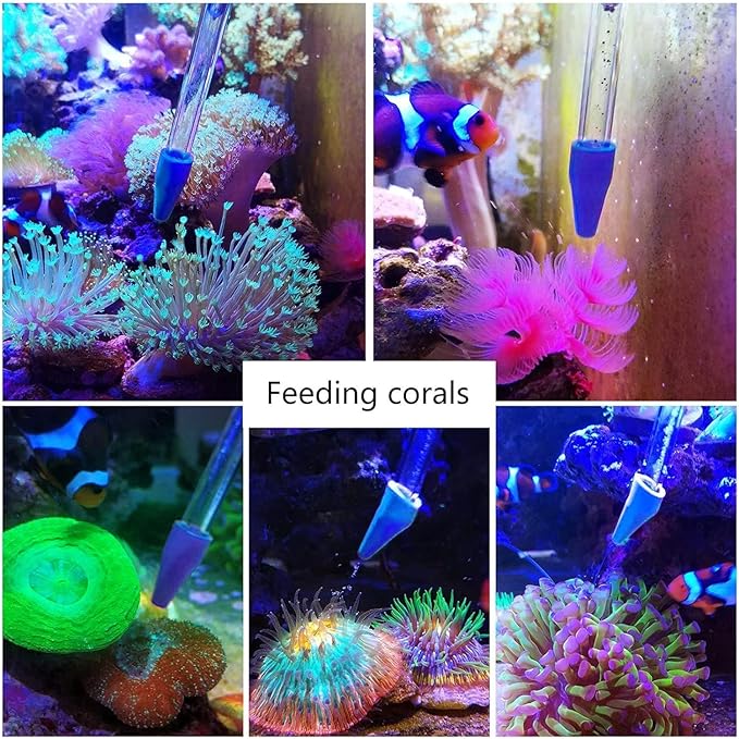31.5Inch Long Coral Reef Grabber,Coral Feeder,Aquarium Veggie Feeder,Aquarium Food Clip Feeding(Long Reef Grabber and Coral Feeder Kits Never Rust), Blue