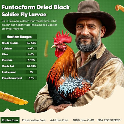 2LB Dried Black Soldier Fly Larvae for Chicken, Dried Mealworms Premium Grade High Protein Chicken Treat for Laying Hens, Wild Birds, Fish, Turtles and Lizard
