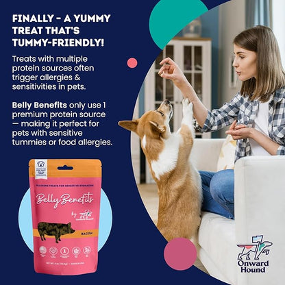 Training Treats for Dogs - Soft Salmon - Low Calorie Dog Training Treats for Sensitive Stomachs with Single Source Premium Protein, Corn Free, & Soy Free Formula - 10 oz