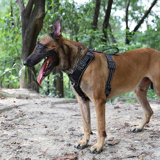 ICEFANG Dog Strap Harness with 4 x Metal Buckles,for Large Sized Dog,K9 Vest,Y-Shape Chest,Adjustable Pet Harness,No-Pull Front Leash Clip (Large (Pack of 1), Black)