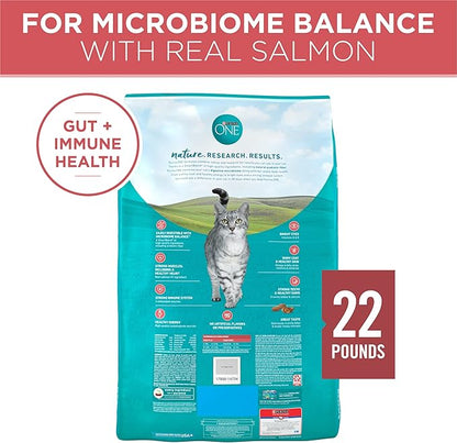 Purina ONE Natural Dry Cat Food, Tender Selects Blend with Real Salmon - 22 lb. Bag