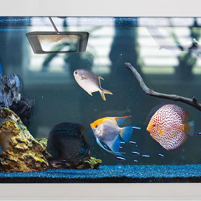 2PCS Fish Feeding Ring,Fish Feeder Circle Aquarium and Tank Floating Rings Food Feeders with Suction Cup for Goldfish Turtle and Other Smaller Fish (Round and Square, Black)