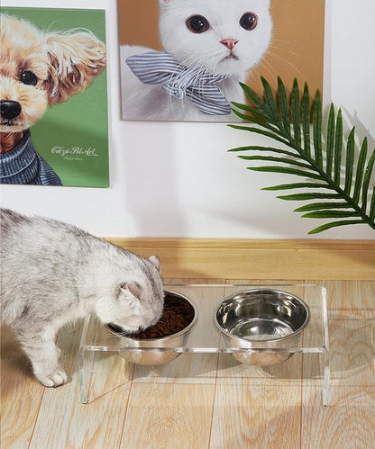 Acrylic Elevated Dog Cat Bowls Pet Feeder Double Bowl Raised Stand Comes with 4 Removable Stainless Steel Bowls. Perfect for Cats Puppies Small Dogs, 3.75 Inch