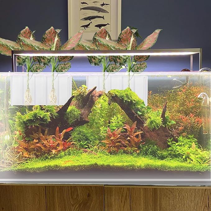 2 PCS Aquarium Plant Holder Top Hanging Fish Tank Plant Pot Aquarium Planter Cups for Water Feature Decoration