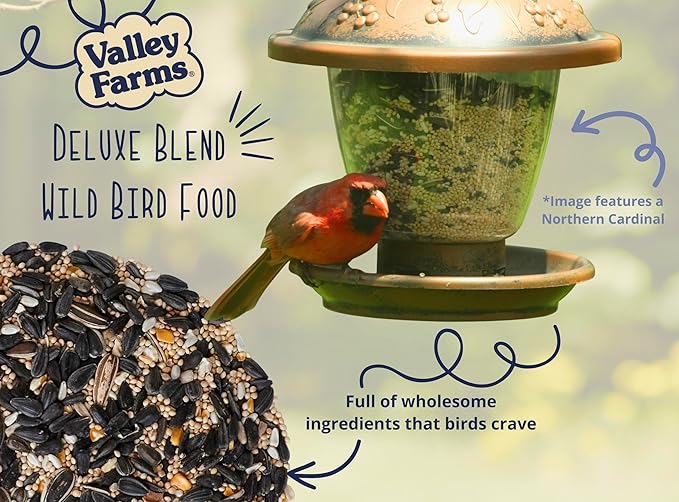 Valley Farms Deluxe Blend 4 LB 2-Pack (8 LBS Total) Wild Bird Food for Outside Feeders with Black Oil Sunflower Seed and Safflower Seed for Birds - A Select Birdseed