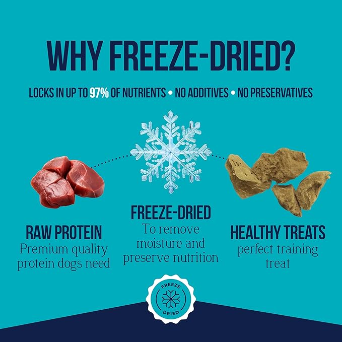 Stewart Single Ingredient Freeze Dried Raw Dog Treats, Chicken Liver, 3 Ounce, Approx. 55 Pieces per Resealable Pouch, Training Treats or Meal Topper, High Protein, Grain Free, Gluten Free