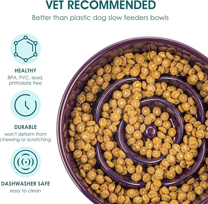 vancasso Slow Feeder Dog Bowl, 1.5 Cups Ceramic Slow Feeder for Medium Breed, Puzzle Maze Food Dog Bowl for Fast Eater, Dark Purple