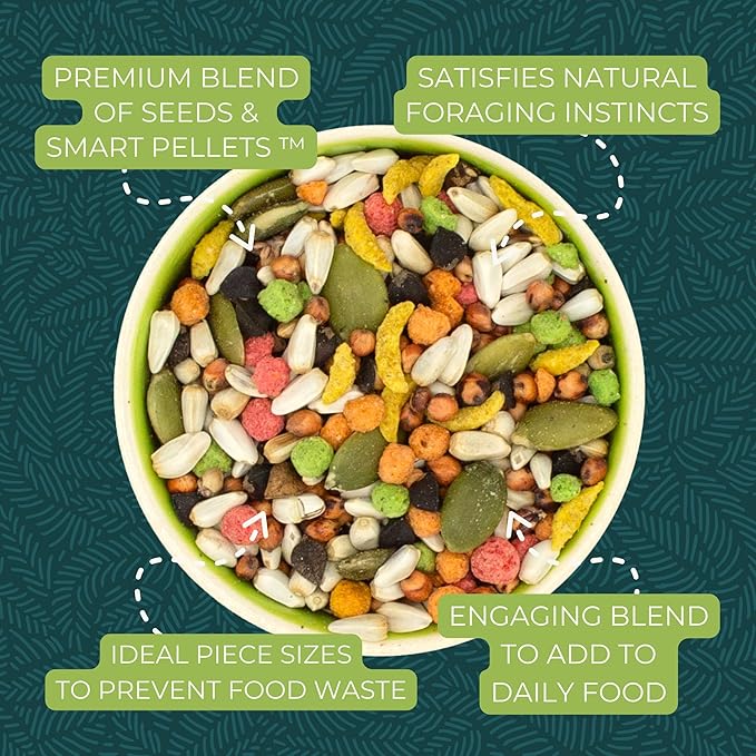 ZuPreem Sensible Seed Bird Food, Parrot, Conure, Caique, African Grey, Eclectus, Small Cockatoo, Seed and Pellet Blend for Medium Large Birds (ML, 2 lbs)