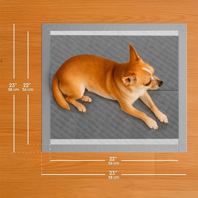 Animal Planet Pets Charcoal Puppy Pads | Extra Absorbent Dog Pee Pads - Quick Dry, Leak-Proof, Odor Neutralizing with Activated Carbon | Large 22" x 22" - 30 Count