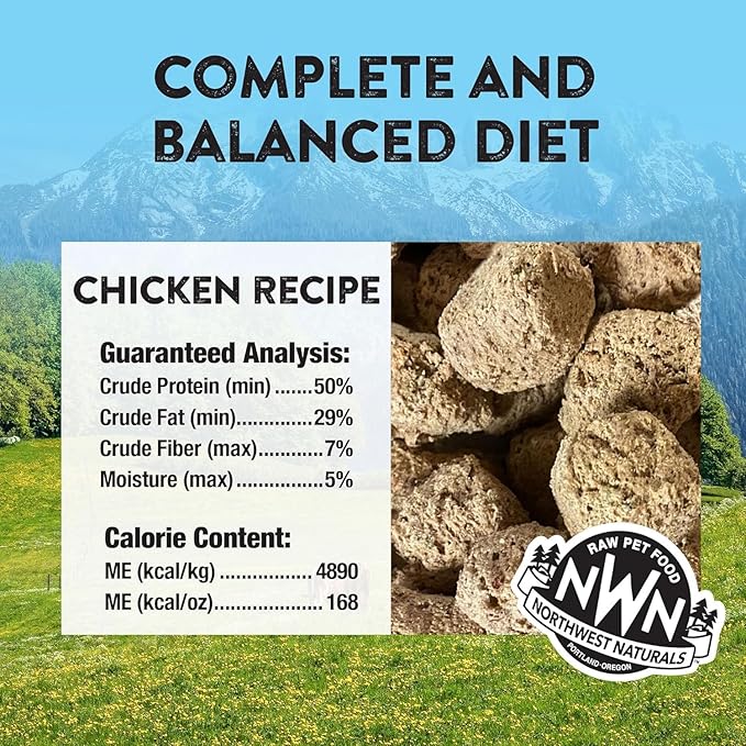 Northwest Naturals Freeze-Dried Chicken Dog Food - Bite-Sized Nuggets - Grain-Free, High-Protein, Raw Diet, Human-Grade Ingredients, All Natural, Healthy & Nutritious, Made in USA, 12 Oz (Pack of 2)