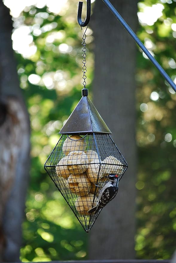 Wildlife Sciences Suet Balls 24 Pack, 6 Individually Wrapped Packs of 4 Bird Suet Balls (Fruit & Nut)