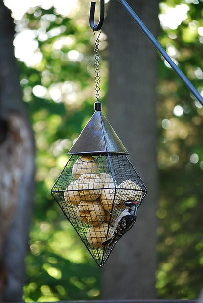 Wildlife Sciences Suet Balls 24 Pack, 6 Individually Wrapped Packs of 4 Bird Suet Balls (Fruit & Nut)