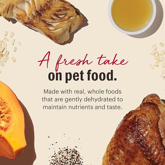 The Honest Kitchen Human Grade Dehydrated Gourmet Grains Dehydrated Dog Food - Turkey & White Fish, 10 Pound Box