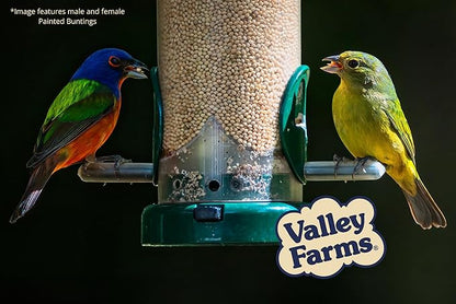 Valley Farms White Millet Wild Bird Seed (5LB) for Outside feeders, White proso Millet, Bird Watcher Secret Wild Bird Food to Attract Colorful Painted Buntings in Southern USA