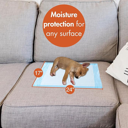 Caring Disposable Underpads, Pet Pee Pads for Potty Training, Light Absorbency, 17 x 24 in, 100-Pack