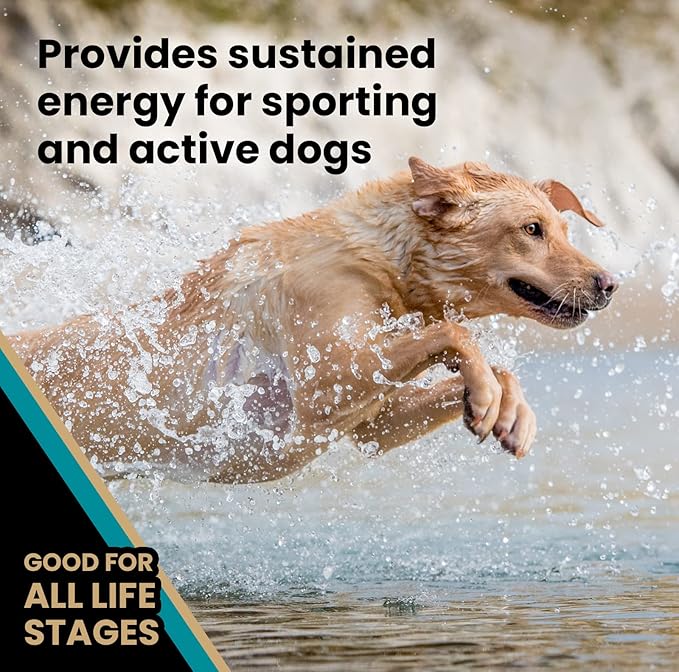 VICTOR Super Premium Dog Food – Hi-Pro Plus Dry Kibble – High Protein Dog Food with 30% Protein – Beef, Chicken, Pork, Fish Meals, Gluten Free - for High Energy and Active Dogs & Puppies, 50lbs