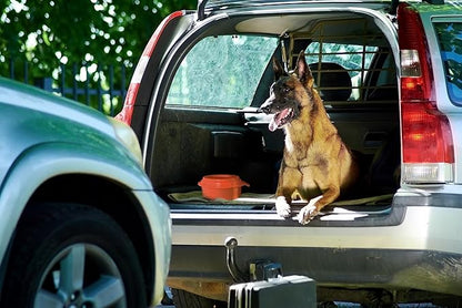 The Original Buddy Bowl - Spill Proof Water Bowl, Non Spill Travel Water Bowl, Regulates Drinking, 44oz, Made in USA (Orange)