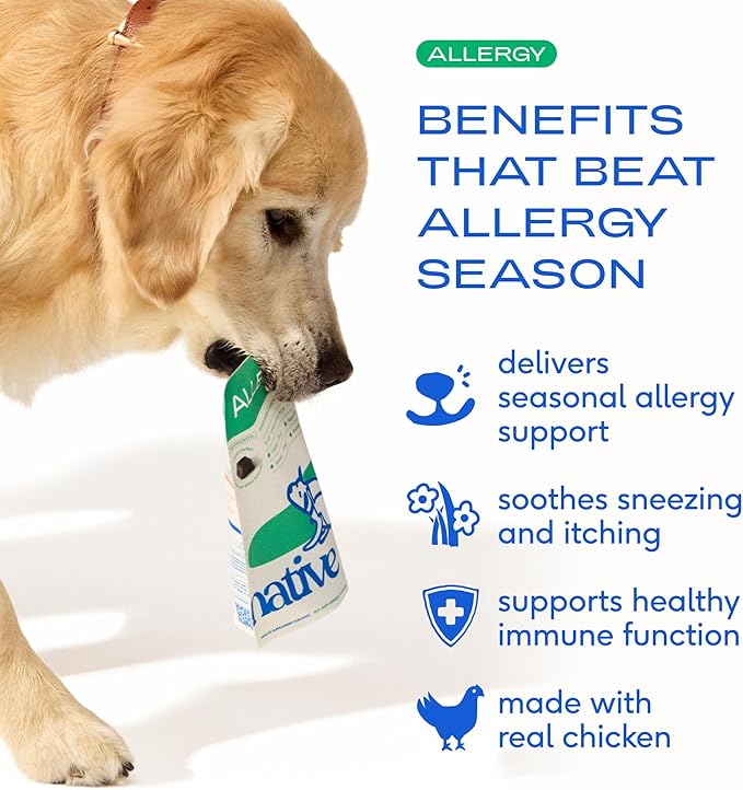 Native Pet Dog Allergy Chews - Dog Allergy Relief with Probiotics and Colostrum for Itchy Skin Relief to Support Seasonal Allergy and Healthy Immune System - All Natural Anti-Histamine - 120 Chews
