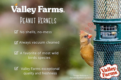 Valley Farms Whole Peanut Kernels (15 LB) Wild Bird Food for Outside Feeders, Peanuts for Birds, Chickadee Bird Seed for Outside Feeders, No Mess Bird Seed
