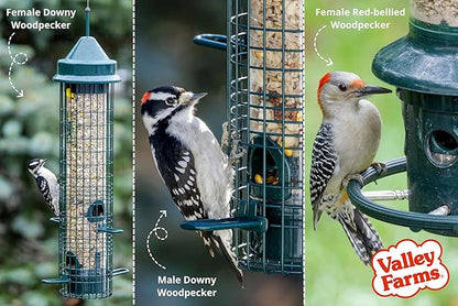 Valley Farms Woodpecker Mix, No Mess Bird Seed for Outdoor Feeders, W/Peanuts and Sunflower Hearts for Birds, Woodpecker Food, Attract All Bird Species (4 LBS)