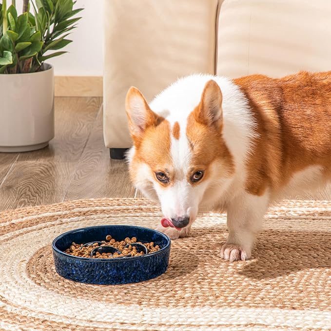 vancasso Slow Feeder Dog Bowl, 1.5 Cups Ceramic Slow Feeder for Medium Breed, Puzzle Maze Dog Food Bowl for Fast Eater, Blue