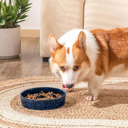 vancasso Slow Feeder Dog Bowl, 1.5 Cups Ceramic Slow Feeder for Medium Breed, Puzzle Maze Dog Food Bowl for Fast Eater, Blue