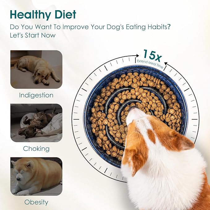 vancasso Slow Feeder Dog Bowl, 1.5 Cups Ceramic Slow Feeder for Medium Breed, Puzzle Maze Dog Food Bowl for Fast Eater, Blue