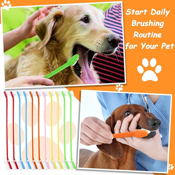 Honeydak Dog Toothbrush Bulk Dual Headed Dental Brushes Dogs Tooth Brushing Kit Long Handle Pet Tooth Brush for Puppy Large Small Cats and Most Pets Teeth Cleaning Dental Supplies(70 Pcs,Multicolor)
