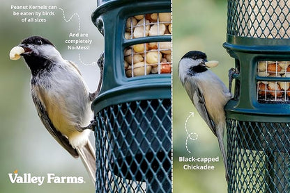 Valley Farms Whole Peanut Kernels (15 LB) Wild Bird Food for Outside Feeders, Peanuts for Birds, Chickadee Bird Seed for Outside Feeders, No Mess Bird Seed