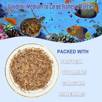 Amzey Shrimp & Mealworms 100% Non-GMO Dried Mealworms - High-Protein Meal Worm Treats - Perfect for Your Chickens, Ducks, Wild Birds, Turtles, Hamsters, Fish and Hedgehogs