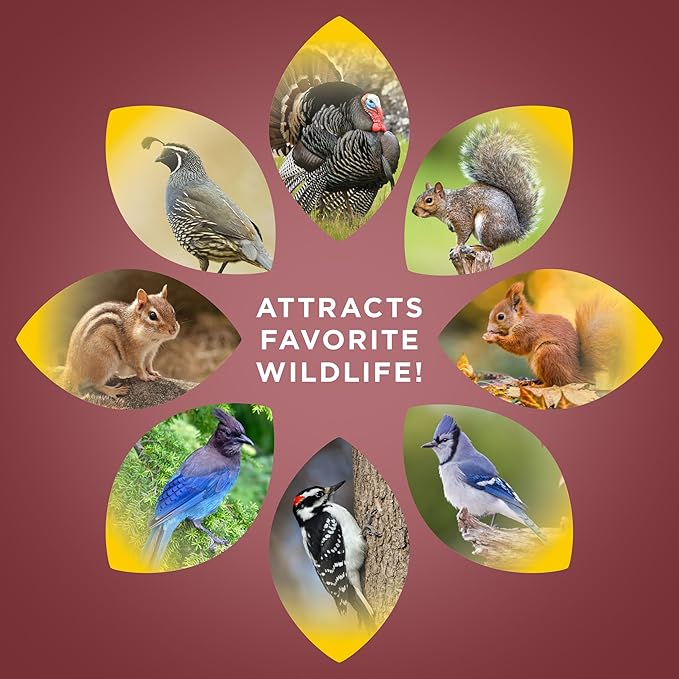 Audubon Park Squirrel & Critter Food, 15-lb. Bag