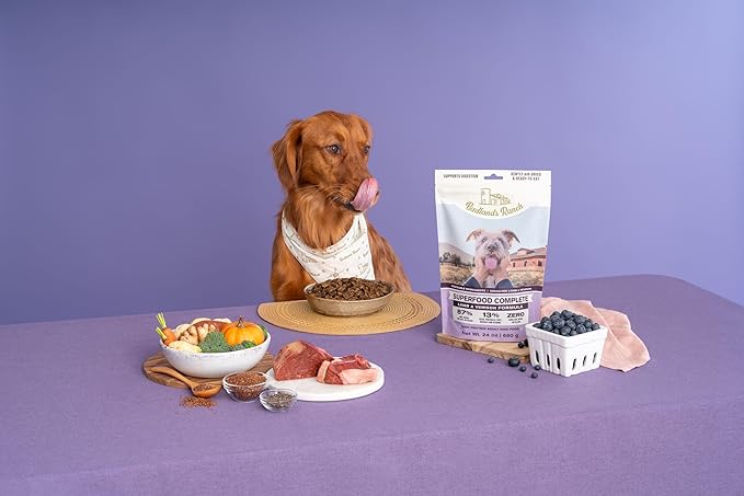 Superfood Complete, Air-Dried Adult Dog Food - High Protein, Zero Fillers, Superfood Nutrition by Katherine Heigl (64 oz., Lamb & Venison)