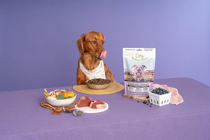 Superfood Complete, Air-Dried Adult Dog Food - High Protein, Zero Fillers, Superfood Nutrition by Katherine Heigl (64 oz., Lamb & Venison)