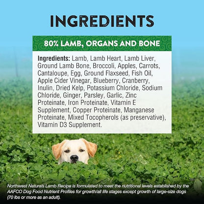 Northwest Naturals Freeze-Dried Lamb Dog Food - Bite-Sized Nuggets - Grain-Free, High-Protein, Raw Diet, Human-Grade, Limited Ingredients, All Natural, Nutrient-Dense, Healthy & Nutritious - 12 Oz