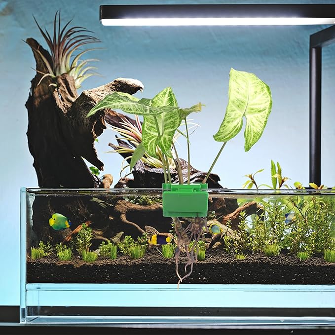 2Pcs 3 Holes Upgraded Aquatic Plant Cup Aquarium Plant Holder for Tank, Hanging Aquarium Plant Holder, Aquarium Aquatic Plant Cultivation, Aquarium Plant Decoration.