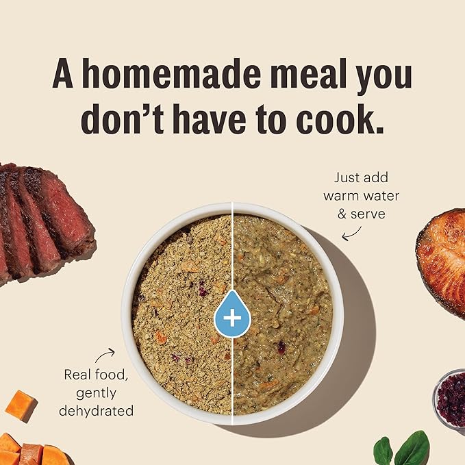 The Honest Kitchen Dehydrated Whole Grain Beef Dog Food, 7 lb Box, 7.00 Pound (Pack of 1)