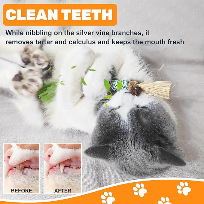 12pcs Natural Catnip Chew Toys for Kittens Teeth Cleaning,Silvervine Sticks, Increase Appetite, Calm Anxiety and Stress, Aggressive Chewers Toy