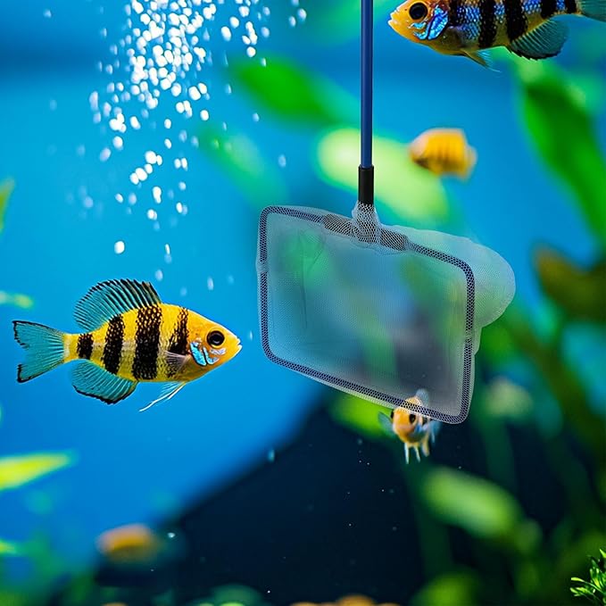 3 Pack Aquarium Net, Multi-Size Fine Quick Fish Catch Nets Extra Soft Nylon Fishing Nets with Plastic Handle for Aquarium Fish Tank Supplies- White (4in,5in, 6in)