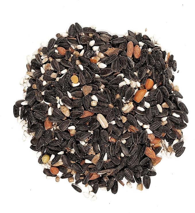 Wagner's 22042 Songbird Banquet Wild Bird Food, 5-Pound Bag, (Pack of 2)