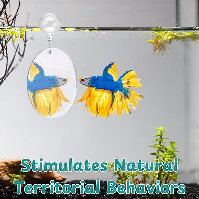2 pcs Betta Ring Enrichment Toys with 1 pcs Betta Mirror, Exercise Training Ring and Floating Mirror for Fish Tank, Aquarium Feeding Rings with Floating Mirrors, Fish Toys, Bettas Toy (Teal, M-70mm)